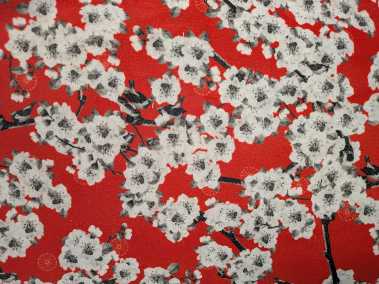 PRINTEMPS AU JAPON